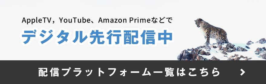 先行配信中